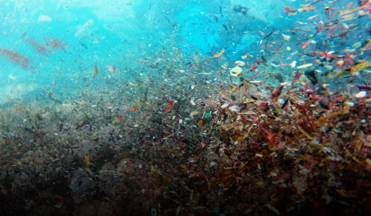 Deep-sea study says fourteen million tons of microplastics present on the seafloor